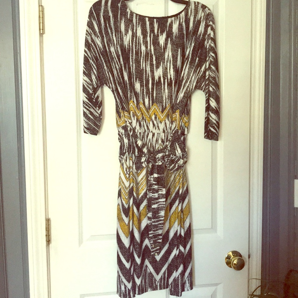 Ellen Tracy Dress